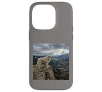 Vue sur la vallée des Gardiens de la Falaise des Pyrénées Coque pour iPhone 14 Pro