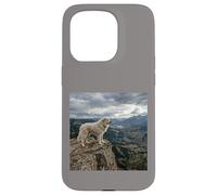 Vue sur la vallée des Gardiens de la Falaise des Pyrénées Coque pour iPhone 15 Pro