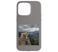 Vue sur la vallée des Gardiens de la Falaise des Pyrénées Coque pour iPhone 15 Pro Max