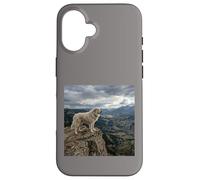 Vue sur la vallée des Gardiens de la Falaise des Pyrénées Coque pour iPhone 16
