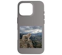 Vue sur la vallée des Gardiens de la Falaise des Pyrénées Coque pour iPhone 16 Pro