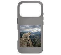 Vue sur la vallée des Gardiens de la Falaise des Pyrénées Coque pour iPhone 17 Pro