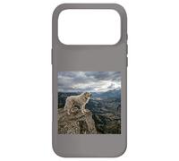 Vue sur la vallée des Gardiens de la Falaise des Pyrénées Coque pour iPhone 17 Pro Max