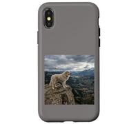 Vue sur la vallée des Gardiens de la Falaise des Pyrénées Coque pour iPhone X/XS