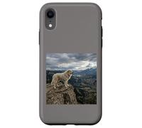 Vue sur la vallée des Gardiens de la Falaise des Pyrénées Coque pour iPhone XR