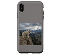 Vue sur la vallée des Gardiens de la Falaise des Pyrénées Coque pour iPhone XS Max