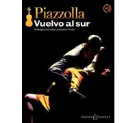 Vuelvo al sur