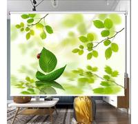 VUIKLCty Moustiquaire de fenêtre de Balcon Stores enrouleurs occultants à Motif de Feuilles Vertes, adaptés aux Cuisines et aux Salons(70CM x 100cm)