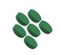 VUIUYOIES Blocs de mousse florale humides, durables, pour compositions florales fraîches et absorption d'eau pratique. Briques pour compositions florales de jardin, Vert, 18x4cm