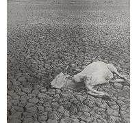 Vukari - Omnes Nihil