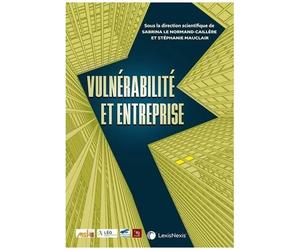 Vulnérabilité Et Entreprise
