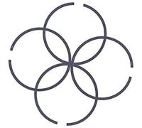 Vuzmode Segments de piston 4 pièces, for Husqvarna, 66 266 268 et Special 268K 371 372 372XP K650 K700 Segment de piston