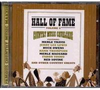 Vv.Aa. - Hall of Fame Vol 6