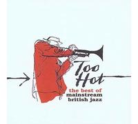 Vv.Aa. - Too Hot.The Best of Mainstr [Import]