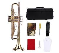 Vvikizy Trumpette BB Professionnelle, Instrument en Laiton avec Sac de Transport pour les Débutants, Comprend les de Porte-parole (Or)