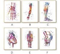 VVSUN Abstrait Anatomie Affiche Nordique Toile Mur Art Imprimer Aquarelle Meridian Peinture pour Cabinet Médical Décor Médecin Cadeau / 30x40 cm x 6 Pcs (sans Cadre)