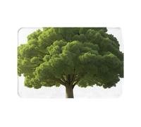 VVXBHGR Paillasson 40,6 x 61 cm Motif Sauveur dans le désert sec Imprimé absorbant l'eau Antidérapant Pour portes d'entrée, entrées et salles de bains