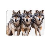 VVXBHGR Paillasson de 40,6 x 61 cm Motif loup imprimé imprimé imperméable antidérapant pour portes d'entrée, entrée et salle de bain