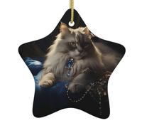 VVXBHGR Pendentif étoile de Noël en céramique avec motif chat fortune - Décoration festive et créative - Facile à accrocher