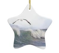 VVXBHGR Pendentif étoile en céramique avec motifs mouettes et vagues - Décoration festive et créative - Facile à accrocher