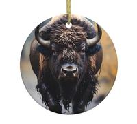VVXBHGR Pendentif rond en céramique Motif bison d'Amérique du Nord Décoration à suspendre