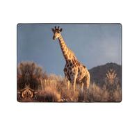 VVXBHGR Tapis de sol antidérapant de 160 x 121,9 cm - Imprimé girafe à pois - Bonne absorption de l'eau - Convient pour la cuisine, la salle de bain et le salon