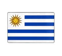 VVXBHGR Tapis de sol en flanelle imprimée drapeau de l'Uruguay - 152,4 x 99,1 cm - Pour salon, bureau, table basse, lit, balcon