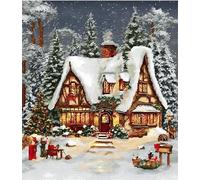 VwrxnchCoatx Canevas Broderie Point De Croix Kit Complet Adulte Debutant Noel, Compté Imprimé Enfant Débutant Noël, Avec Fils Au Modele Multicolore 40X50Cm (Scène De Neige Avec Lumières De Noël)