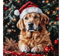 VwrxnchCoatx Canevas Broderie Point De Croix Kit Complet Adulte Debutant Noel, Compté Imprimé Enfant Débutant Noël, Avec Fils Au Modele Multicolore 40X50Cm (Chien De Noël)