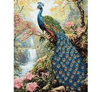 VwrxnchCoatx Kit De Broderie Au Point De Croix Paon, 11Ct, Pour Adultes, Images De Broderie Pré-Imprimées À Faire Soi-Même Pour Débutants, Décoration D'Intérieur, 40 X 50 Cm