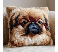 VwrxnchCoatx Kit De Crochet À Loquet À Faire Soi-Même - Housse De Coussin Au Crochet Pour Débutants Enfants Et Adultes- Décoration De Fabrication De Tapis De Tapis Pour La Maison 43 X 43 Cm(Chien)