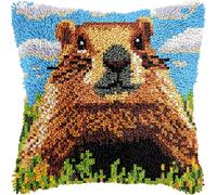VwrxnchCoatx Kit De Crochet À Loquet À Faire Soi-Même - Housse De Coussin Au Crochet Pour Débutants Enfants Et Adultes- Décoration De Fabrication De Tapis De Tapis Pour La Maison 43X43Cm(Animal)