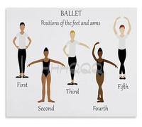 VWWJCCRO Dance Education Metal Tin Sign Classical Ballet Poses And Movements Guide Training Diagram Home Decoration Gift 8 X 12 inch