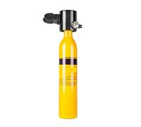 VXDEFP Ensemble de Bouteilles de plongée sous-Marine Mini Équipement De Plongée sous-Marine D'enseignement De La Plongée sous-Marine À Bouteille D'oxygène(Single Respirator)