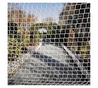 VXHCS Filet en Corde d'escalade Extérieur 4cm/4mm pour L'élevage d'animaux et de Volailles Sécurité Décoratif Jardin Ferme(WxL:1x3m)