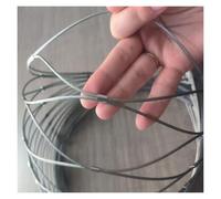 VXHCS Grille Métallique Maille Toile INOX, Filet Anti-Chute pour Balcon, 10cm/2mm de Sécurité pour Clôture Jardin Ou Ferme(1x2m)