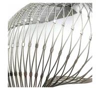 VXHCS Grille Métallique Maille Toile INOX, Treillis Multifonctionnel, Filet Anti-Chute pour Balcon de 2,0mm, Décoration DIY(10cm/2mm,1x20m)