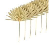 Vycowb 6 Pièces Grandes Feuilles de Palme Séchées Éventails de Palme Séchés Naturels Bouquet de Séchés Décorations de Mariage Feuilles de Palme Éventail Séchées