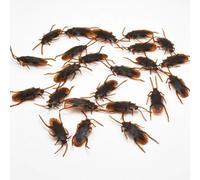 Vyloky Article de farces : 100/500 pièces d'attrape-cafards factices en plastique - Kit de farces de bureau pour Halloween et le poisson d'avril, cadeaux de vengeance effrayants (200 pièces)