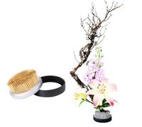 Vyloky Porte-fleurs rond grenouille avec aiguille en laiton, hérisson pour arrangements floraux, art, décoration de bureau à domicile, différentes tailles et formes (1 pièce : 95 mm)