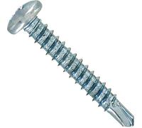 VYNEX - Vis autoperceuse TC bombé 4.8x19 sc