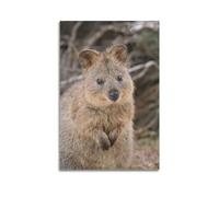 VZRSQZK Poster Quokka sur toile - Impression d'art moderne pour chambre à coucher - 20 x 30 cm