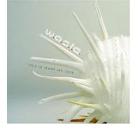 W.a.S.T.E. - This is What We Seek [Import]