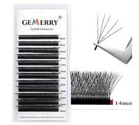 W Cils Extension Cils Volume Russe 5D Prefait Cils 0.07 C curl 8-14mm Mix Cils a Cils Bouquet Soie Volume Russe Professionnel Cils en Forme de W Extension de Gemerry Cils Individuel(5D-0.07C-mix 8-14)