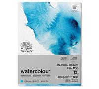 W&N PAPIER AQUA BLOC GRAIN FIN 300G 22,9X30,5CM 12 FEUILLES