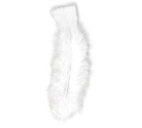 W WIDMANN MILANO Party Fashion - 50 plumes, longueur env. 10 cm, accessoire indien, pour le bricolage