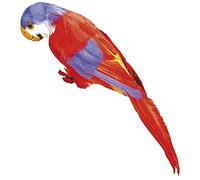 Perroquet En Plumes Decoratif Rouge rouge G