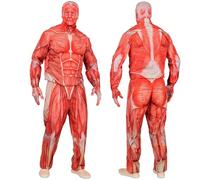 W WIDMANN MILANO Party Fashion - Costume « Anatomie musculaire »