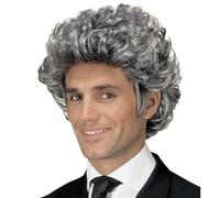 W WIDMANN MILANO Party Fashion GREY JOHN WIG in polybag -