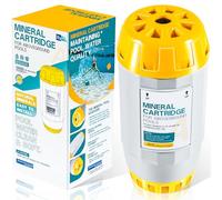 W28165 Cartouche de rechange pour cartouche minérale Nature2 A30 pour tous les systèmes de filtration Zodiac Nature2 A ou Pro A Plus Vessel W20040 pour piscine hors sol jusqu'à 30 000 gallons W26765